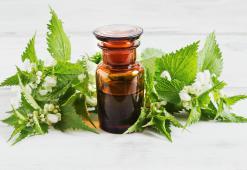 Ošetrenie pokožky hlavy pre dlhé a zdravé vlasy - najlepšia domáca kozmetika