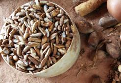 Babasový olej - najlepšia starostlivosť o vlasy s nízkou pórovitosťou