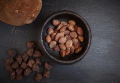 Amazónske cupuaçu maslo – skvele vyvážené mastné kyseliny pre dokonalú hydratáciu