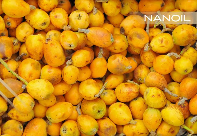 Marulový olej na starostlivosť o vlasy – skvelý elixír mladosti