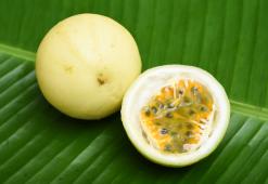 Marakujový olej – vitamínová bomba na vlasy